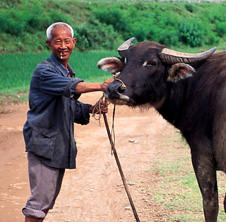 小型飼料顆粒機(jī),農(nóng)民圓夢(mèng)！